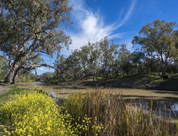 About Walgett