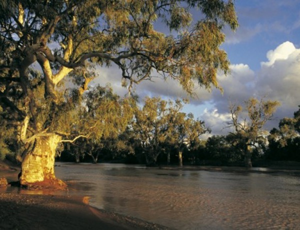 About Walgett